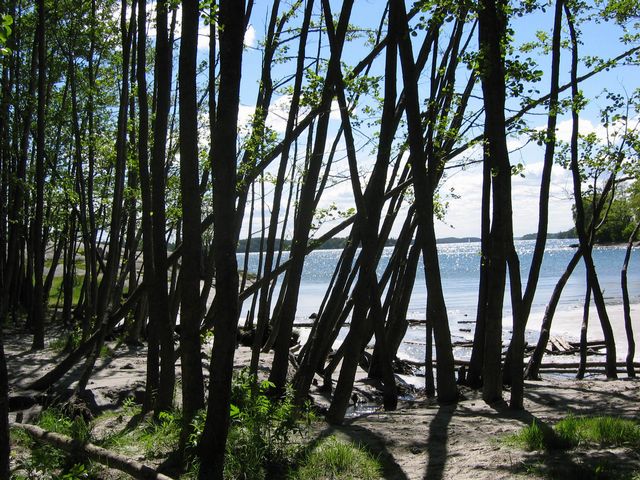 Utsikt frÃ¥n Ã¶ i stilla havet eller Stavs Ã¤ng.jpg