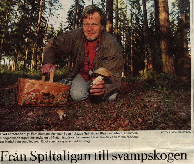 spiltaligan 1.jpg