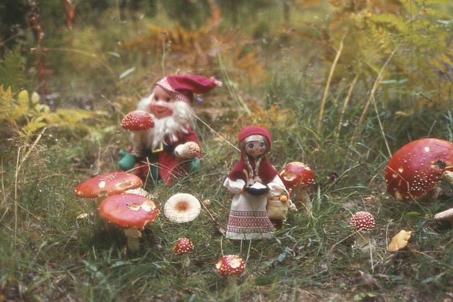 Amanita muscaria med figurer.jpg