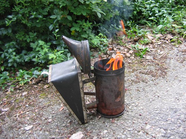 brinnande rÃ¶kpust.jpg