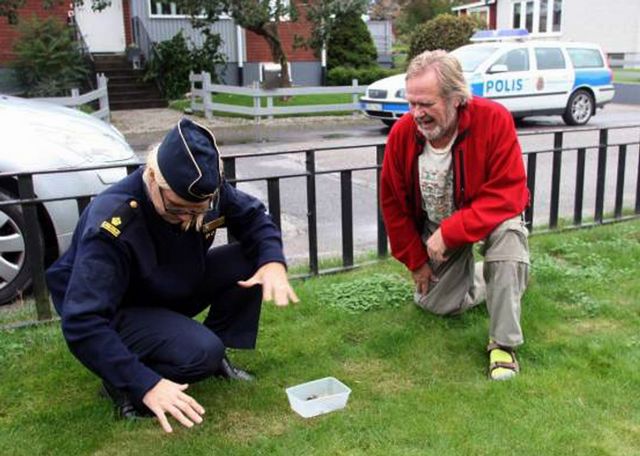 snuten plockar svamp.jpg