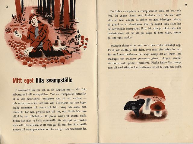 svampbok 4.jpg