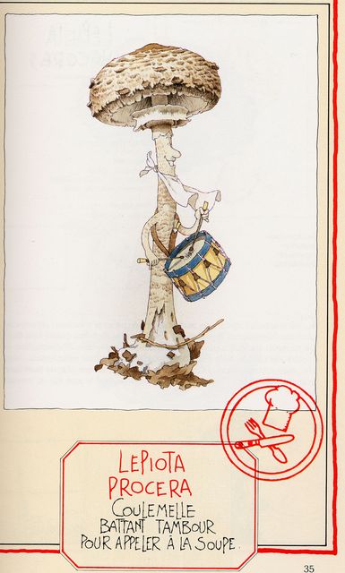 Stolt fjÃ¤llskivling.jpg