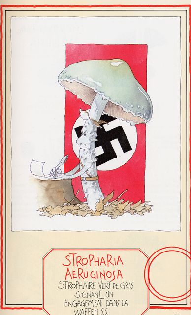 Ã„rggrÃ¶n kragskivling.jpg