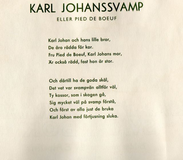 svampbok 2.jpg