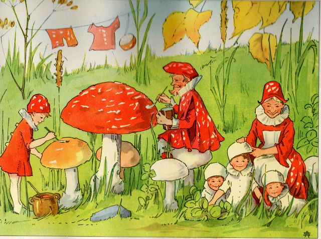 svampbok17.jpg